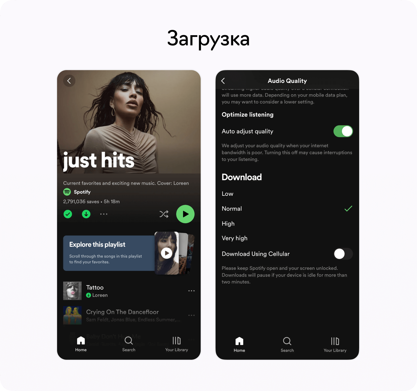 Функциональность Spotify, скачивание песни