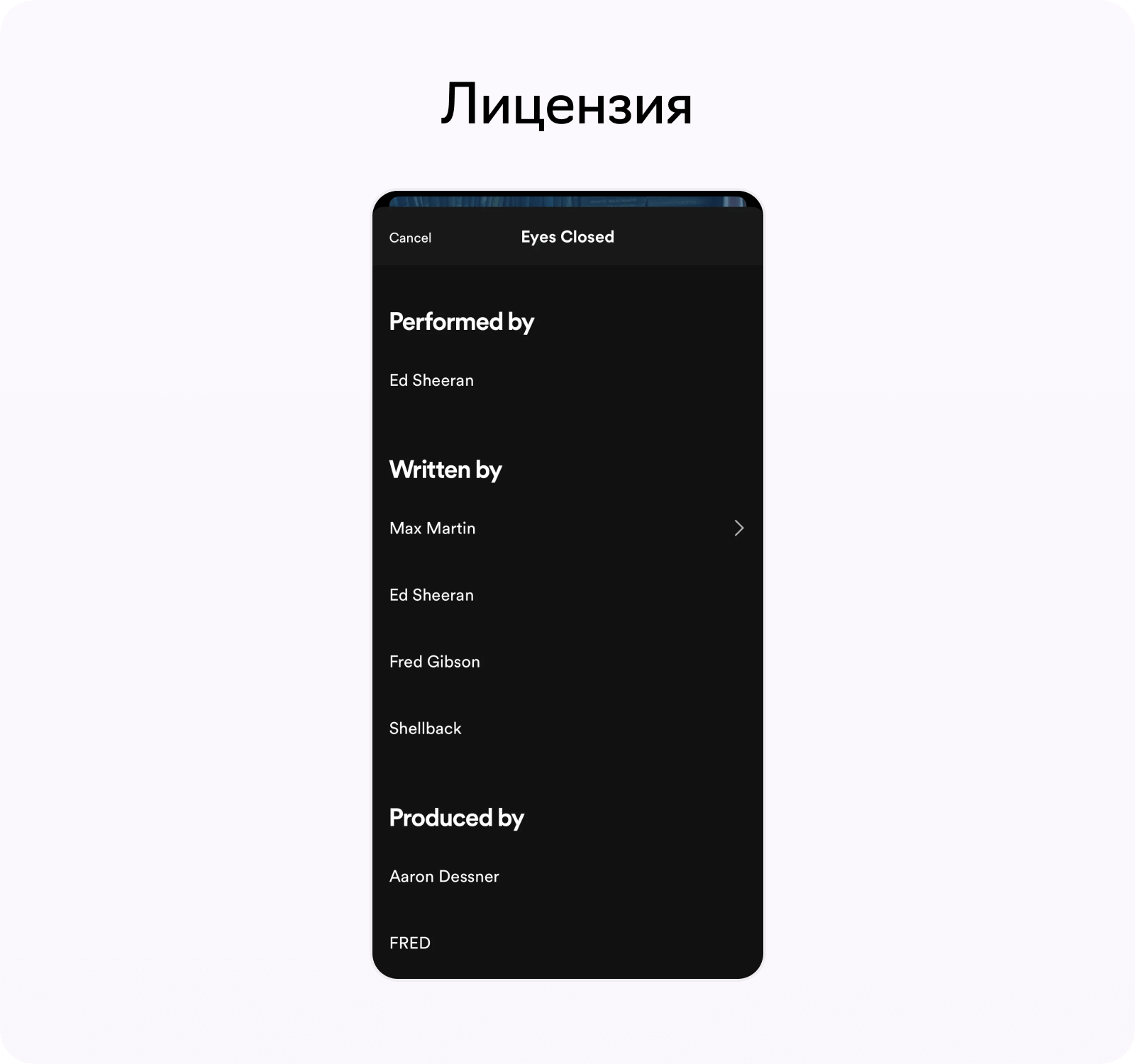 Функциональность Spotify, лицензия